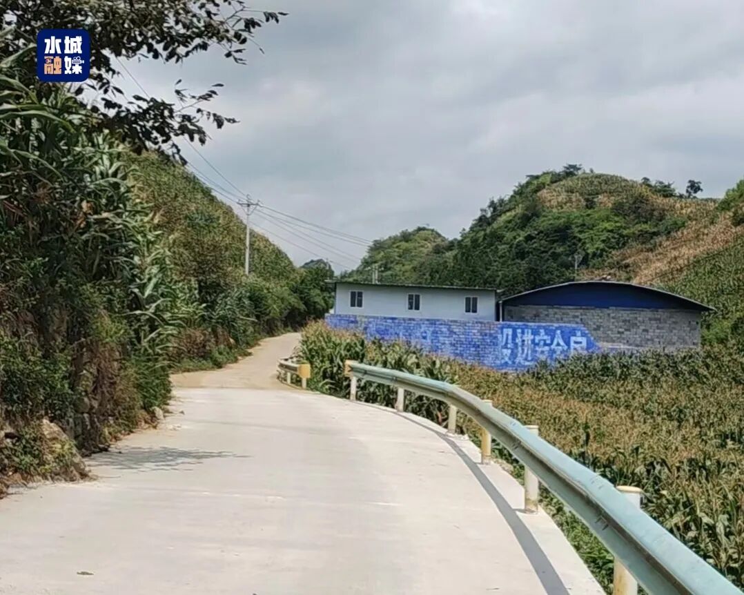 清理干净的路面。周琬祺 摄.jpg