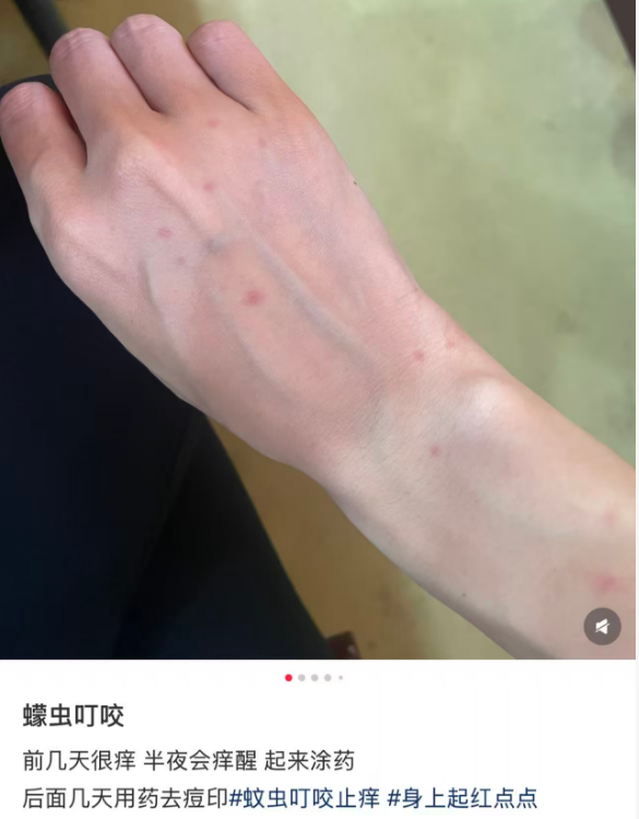 f16f5328-f8d1-447e-b032-baa0e5ced34b.png